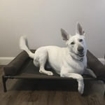 Image 5 of customer photos