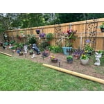 Image 5 of customer photos
