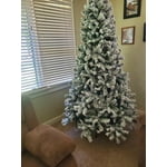 Image 4 of customer photos