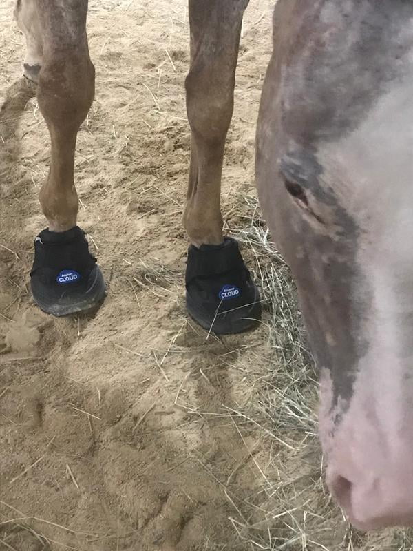 Bota terapéutica EasyCare Easyboot Rx para caballo | Bodega Aurrera en