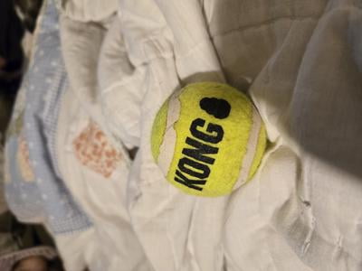 KONG - Squeaky Bounce and Fetch Toy, Tennis Ball Material KONG - Squeaky Bounce and Fetch Toy, Tennis Ball Material