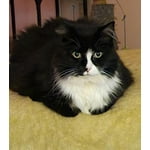 Image 5 of customer photos