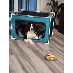 Image 4 of customer photos