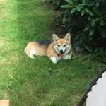 Image 5 of customer photos