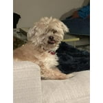 Image 6 of customer photos