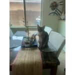 Image 6 of customer photos