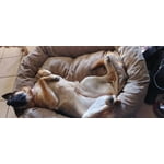 Image 6 of customer photos