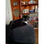 Image 3 of customer photos