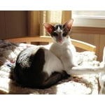 Image 1 of customer photos