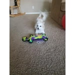 Image 6 of customer photos