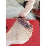 Image 7 of customer photos