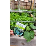 Image 3 of customer photos