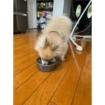 Image 5 of customer photos