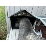 Image 2 of customer photos