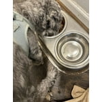 Image 5 of customer photos