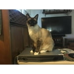 Image 4 of customer photos