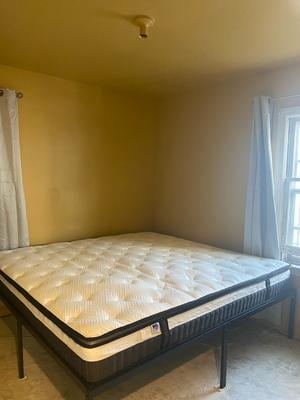 In My Room Sealy Farely Elm 14-in Plush Twin extra long Innerspring