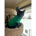 Image 5 of customer photos