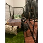 Image 1 of customer photos