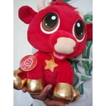 Image 6 of customer photos