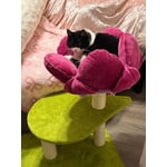 Image 6 of customer photos