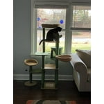 Image 6 of customer photos