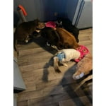 Image 2 of customer photos