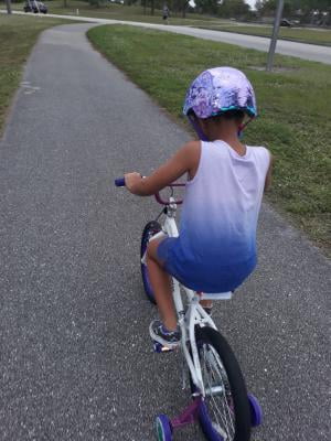 schwinn whiteboard bike
