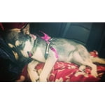 Image 2 of customer photos