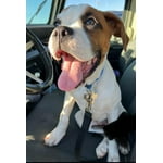 Image 4 of customer photos