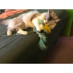 Image 2 of customer photos