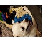 Image 5 of customer photos