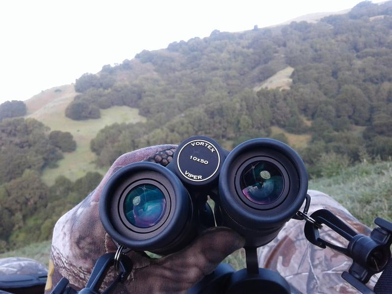 vortex viper binoculars 10x50