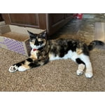 Image 4 of customer photos