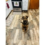 Image 1 of customer photos