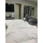 Image 7 of customer photos