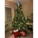 Image 5 of customer photos