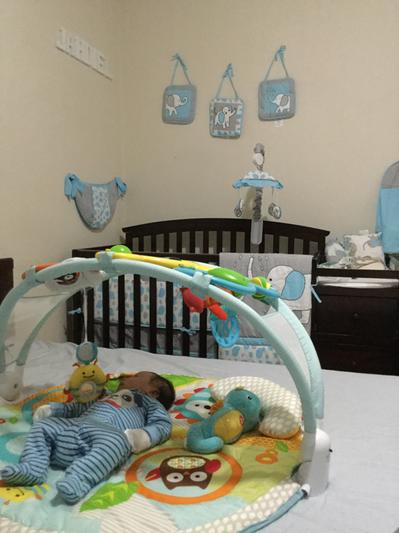 amazing arch activity gym