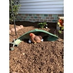 Image 1 of customer photos