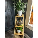 Image 3 of customer photos