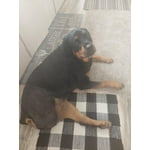 Image 4 of customer photos