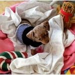 Image 1 of customer photos