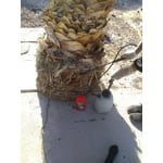 Image 7 of customer photos