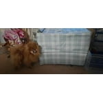 Image 4 of customer photos