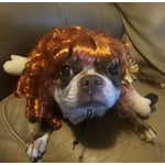 Image 4 of customer photos