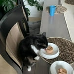 Image 6 of customer photos