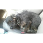 Image 6 of customer photos