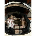 Image 2 of customer photos