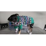 Image 6 of customer photos