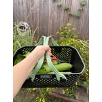 Image 6 of customer photos